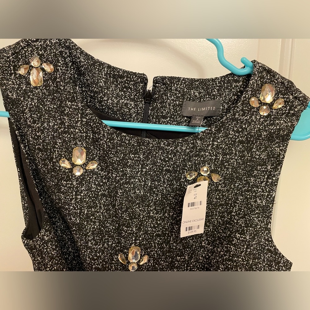 The Limited Belted and Gem Accent Dress - New with Tags Size 4 Tall